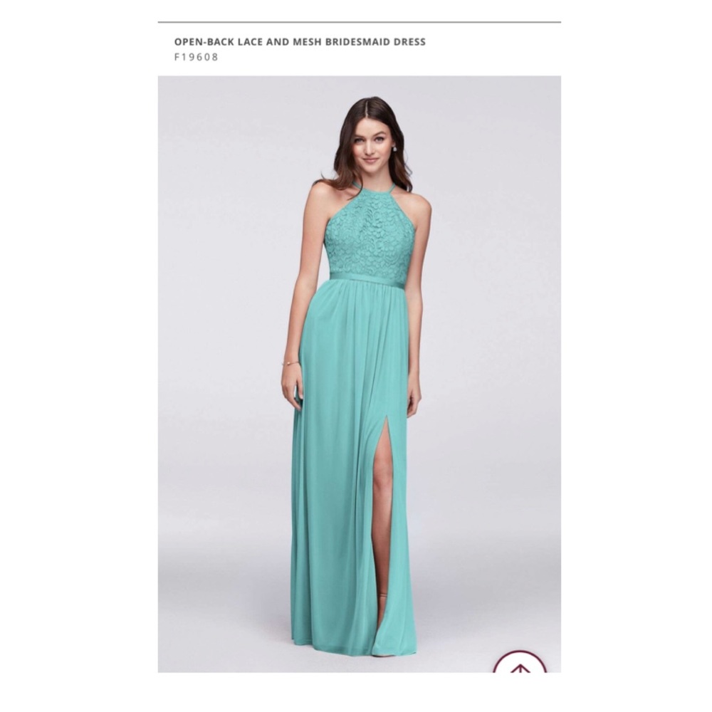David’s Bridal - Bridesmaids dress